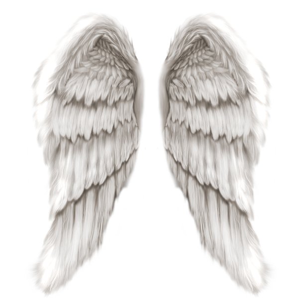 free clip art of angel wings - photo #17