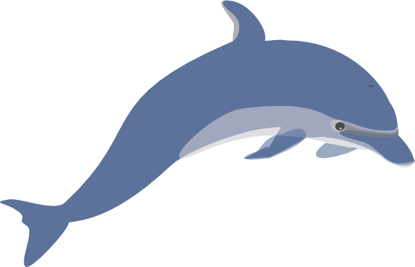 free animated dolphin clipart - photo #3