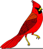 Cardinal Bird Clipart Image