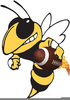 Yellow Jackets Clipart Image