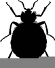 Bug Clipart Free Image