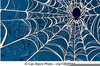 Spider Web Clipart Free Image