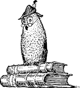 EXPERT PVC
