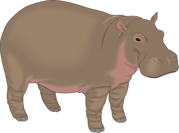 free baby hippo clipart - photo #6