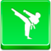 Karate Icon Image