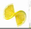 Clipart Lemon Slice Image