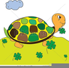 Tortoise Clipart Image