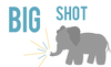 Bigshot Image