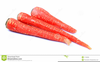Pictures Of Carrots Clipart Image