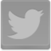 Twitter Bird Icon Image