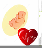 Free Clipart Heart Monitor Image