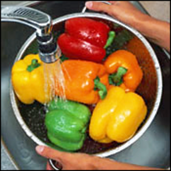 Washing Peppers | Free Images at Clker.com - vector clip art online