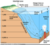 Ocean Zones Neritic Image