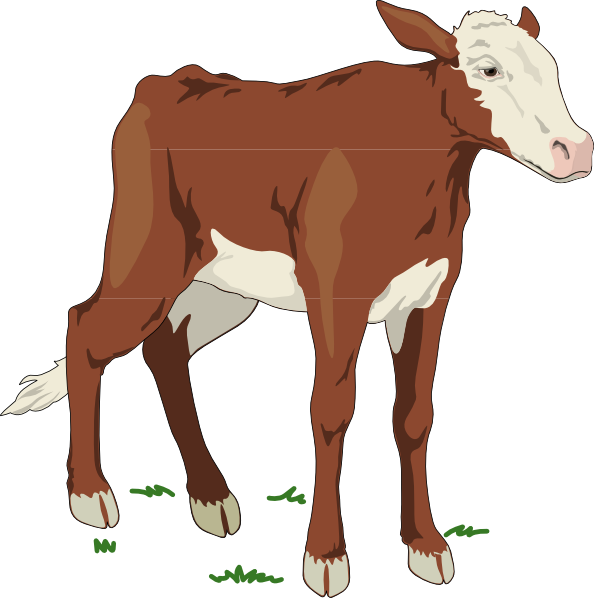 clipart brown cow - photo #16