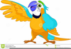 Free Clipart Cartoon Parrots Image