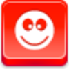 Ok Smile Icon Image