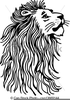 Lion Mane Clipart Image
