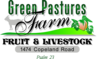 Green Pasture Image