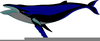 Clipart Cartoon Whale Image