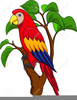 Free Pirate Parrot Clipart Image