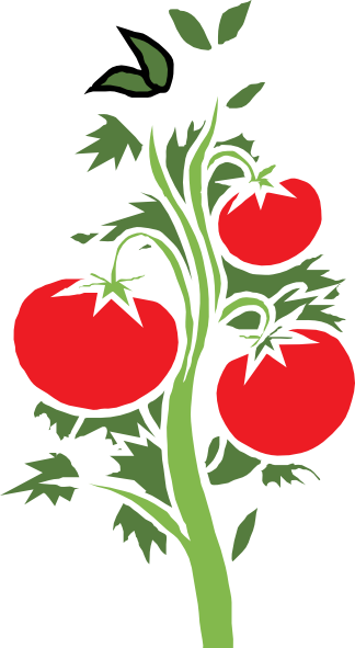 tomato plant clip art - photo #2