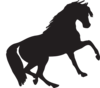 Mustang Clip Art