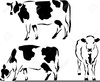 Dairy Cow Silhouette Image