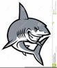 Shark Teeth Images Clipart Image