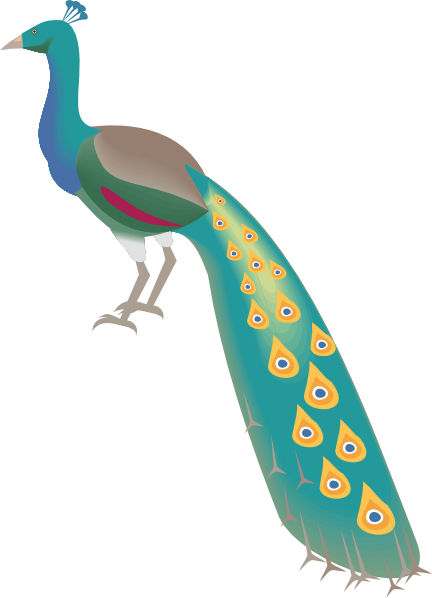 clipart images of peacock - photo #20