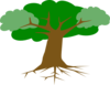 Treerootnew Clip Art