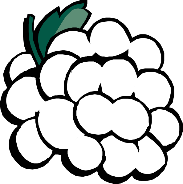 clipart of grapes - photo #28