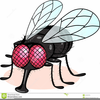 Free Clipart House Fly Image