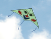 Kite Image