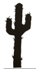 Cactus Free Clipart Image
