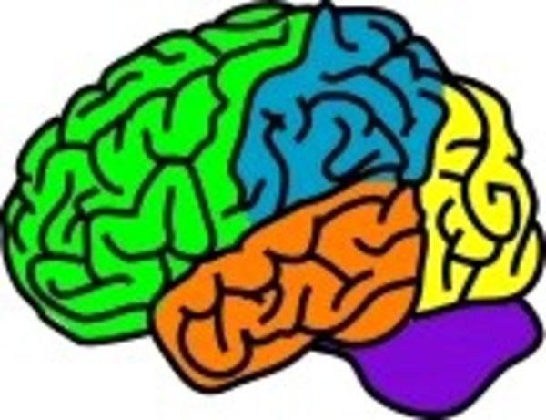 free clipart brain cartoon - photo #39