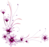 Blumen Image