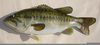 Large Mouth Bass Clipart Image