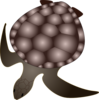 Turtle Clip Art