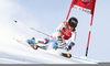 Lara Gut Skiing Image