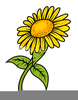 Find Free Sunflower Clipart Image