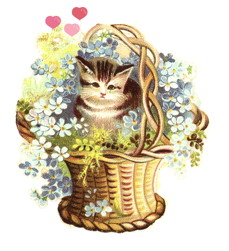 flower basket clipart - photo #38