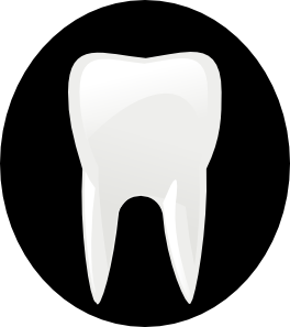 Tooth Molar Clip Art