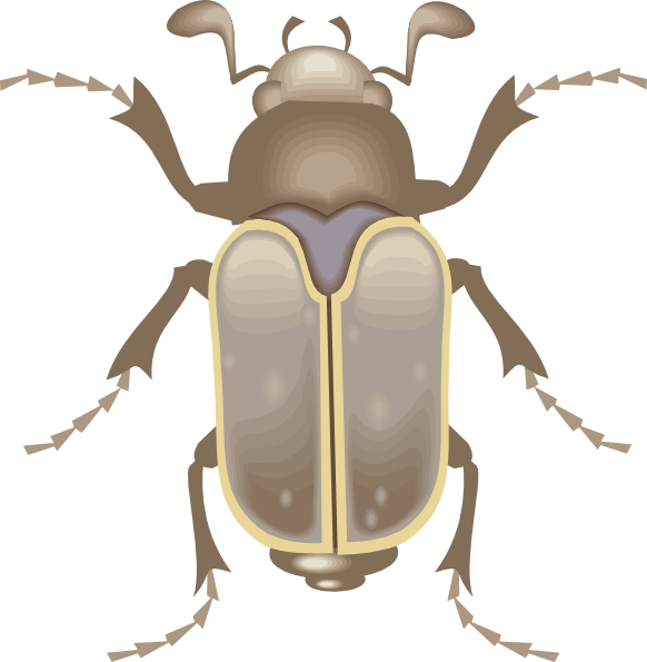 clipart beetle - photo #12