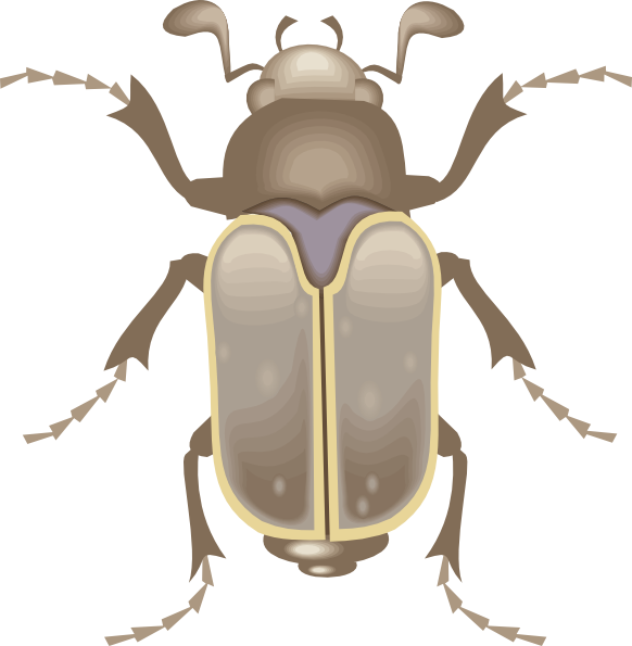 free clip art beetle - photo #39