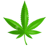 Cannabis Leaf Icon Image