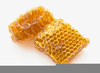 Bee Honey Clipart Image