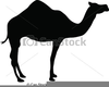 Camel Black And White Clipart Image