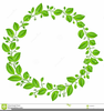 Oval Holly Clipart Image