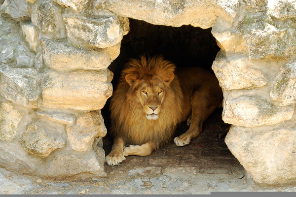 Lions Den Clipart | Free Images at  - vector clip art online,  royalty free & public domain