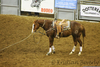 Calf Roping Quotes Image